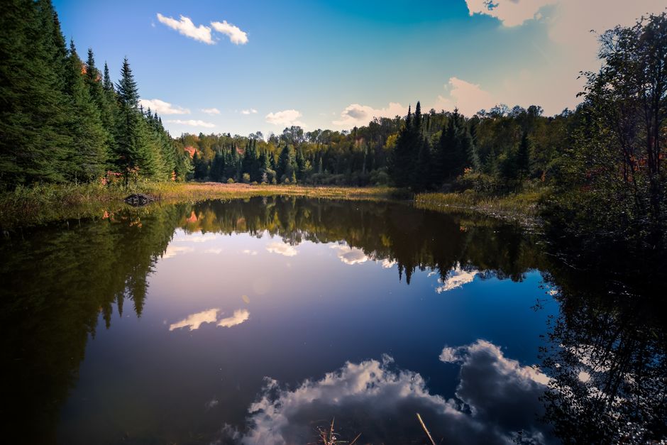 Water clarity testing on a lake